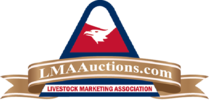 online-logo