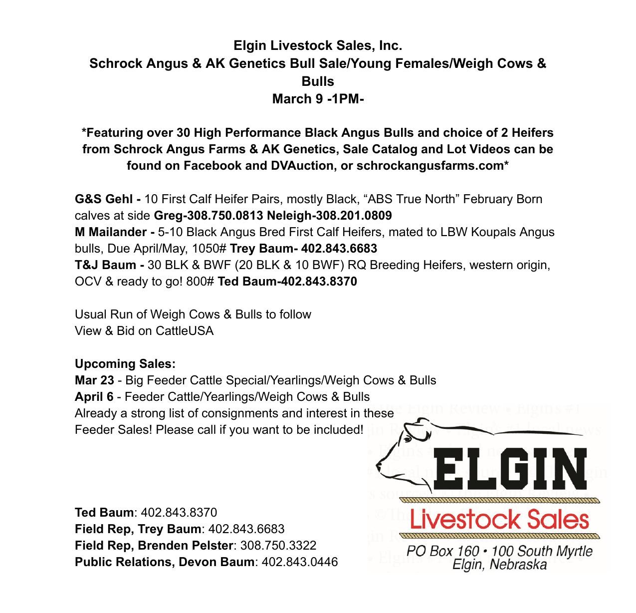 3.9 Early Sale - JPEG