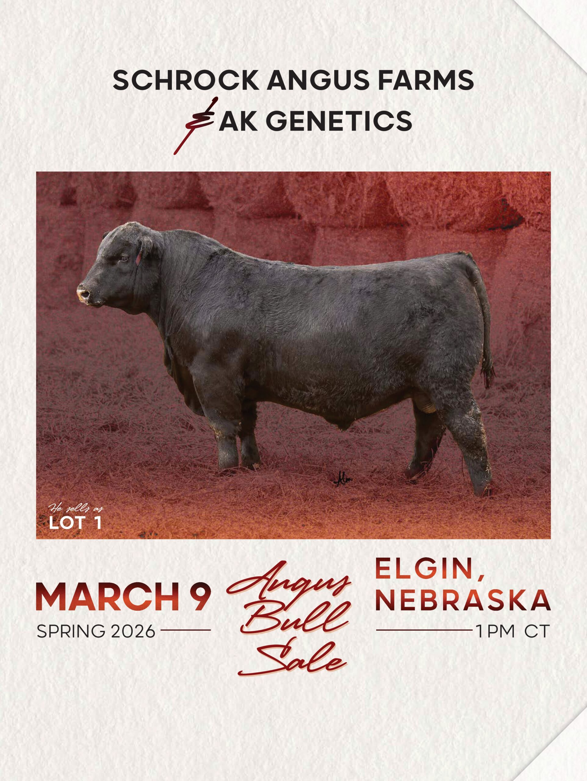 Schrock's Angus Cat Cover